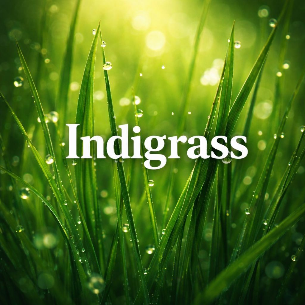 INDIGRASS