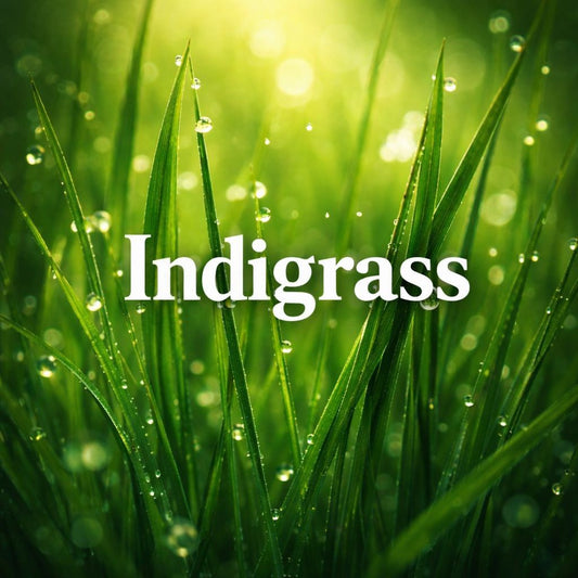 INDIGRASS